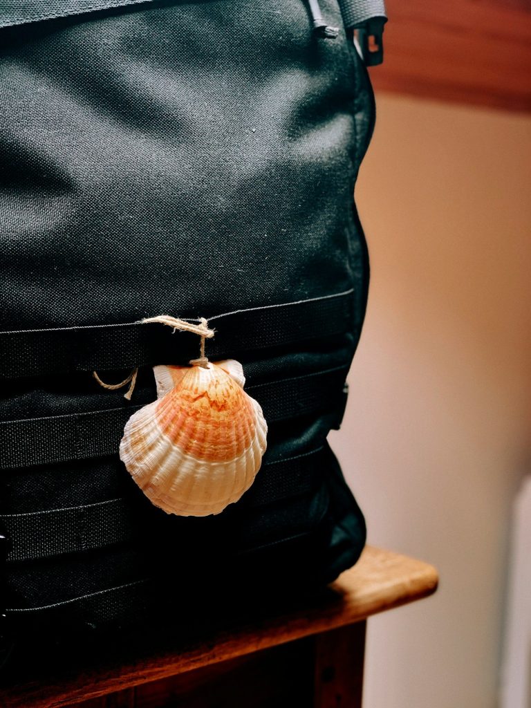 a shell is sitting on top of a black bag